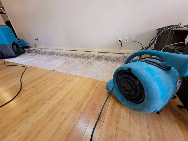 Professional Burst Pipe Water Damage technician working in Spicewood, TX